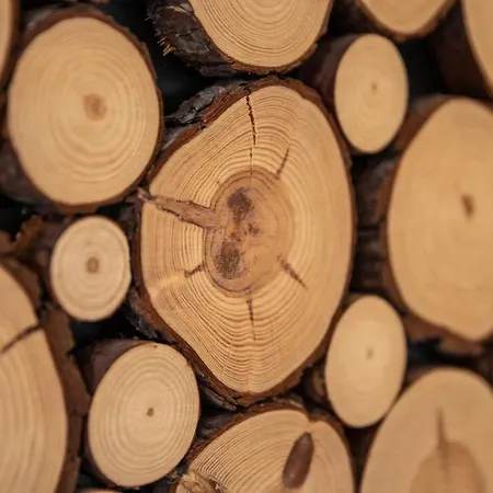 Appartement Hirsch Stadt 2 - Terrasse Mit Flussblick - Parkplatz Bad Harzburg