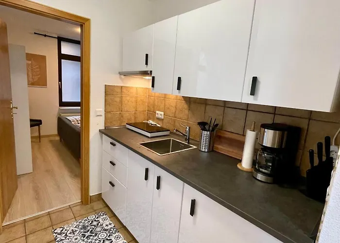 Hirsch Stadt 2 - Terrasse Mit Flussblick - Parkplatz Apartamento